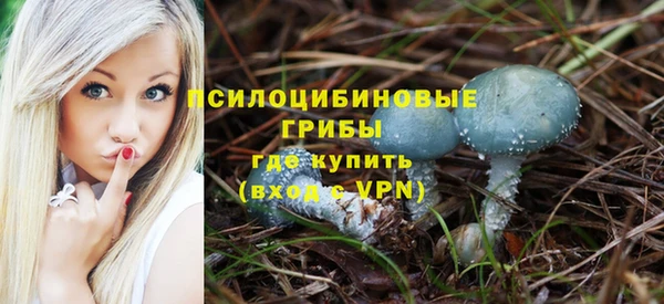 трава Балахна