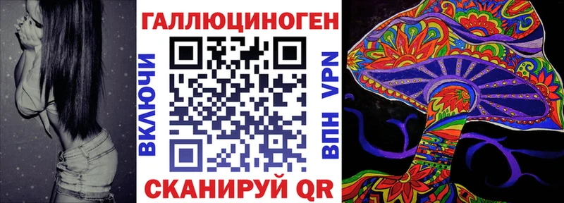 Псилоцибиновые грибы Psilocybine cubensis  Бирюч 